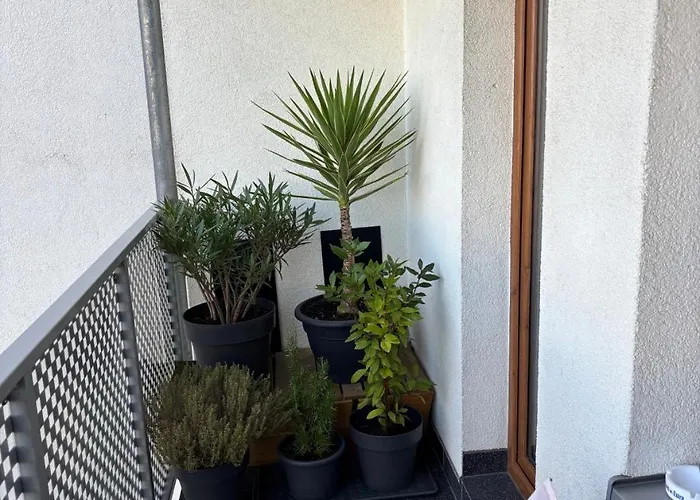 Champion-free Parking-posciel Hotelowa Apartman